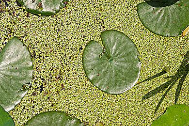 《Only Down》steam页面上线 换个方向一直向下